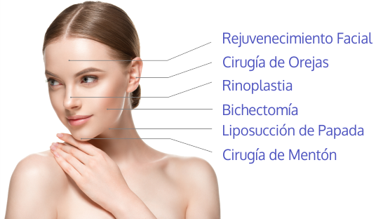 rejuvenecimiento facial, rinoplastia, cirugia de orejas, cirugia de menton, liposuccion de papada